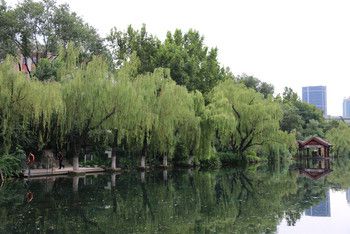 Tour Shandong (charming Jinan, majestic Mount Tai, romantic Qingdao, Haitian Laoshan, Bohai Cruise)